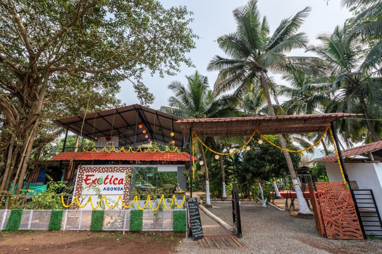 The Exotica Agonda Hotel Exterior photo
